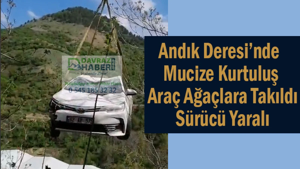 Andık Deresi’nde Mucize Kurtuluş! Araç Ağaçlara Takıldı, Sürücü Yaralı