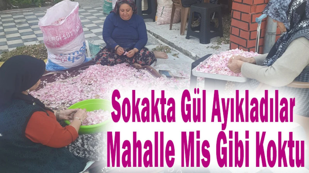 Bağlar Mahallesi&rsquo;nde G&uuml;l Mesaisi: Sokaklar Mis Gibi Koktu