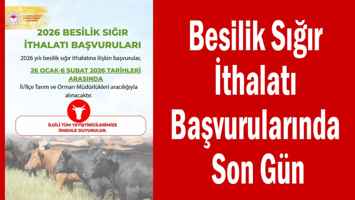 Besilik Sığır İthalatı Başvurularında Son G&uuml;n