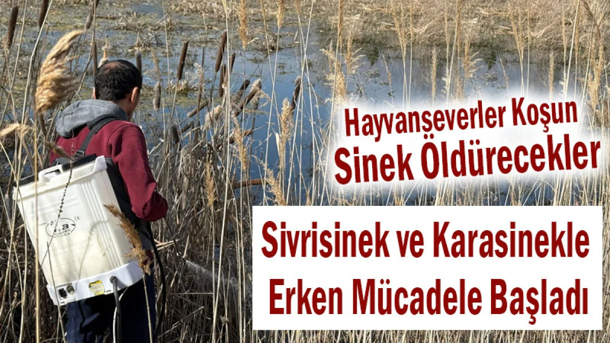 Eğirdir&rsquo;de Sivrisinek ve Karasinekle Erken M&uuml;cadele Başladı