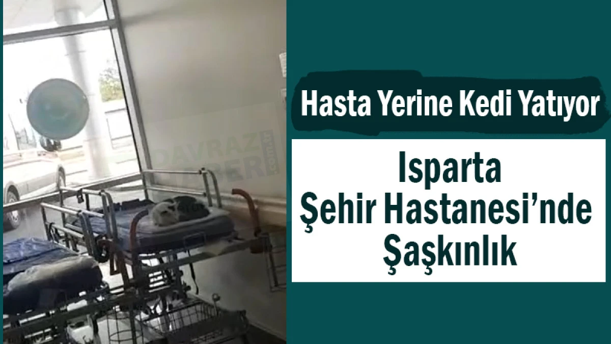 Hasta Yerine Kedi Yatıyor! Isparta Şehir Hastanesi’nde Şaşkınlık