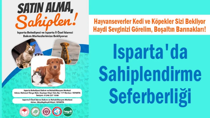 Isparta Belediyesi ve İl Özel İdaresi’nden Sokak Hayvanlarına Yuva Çağrısı