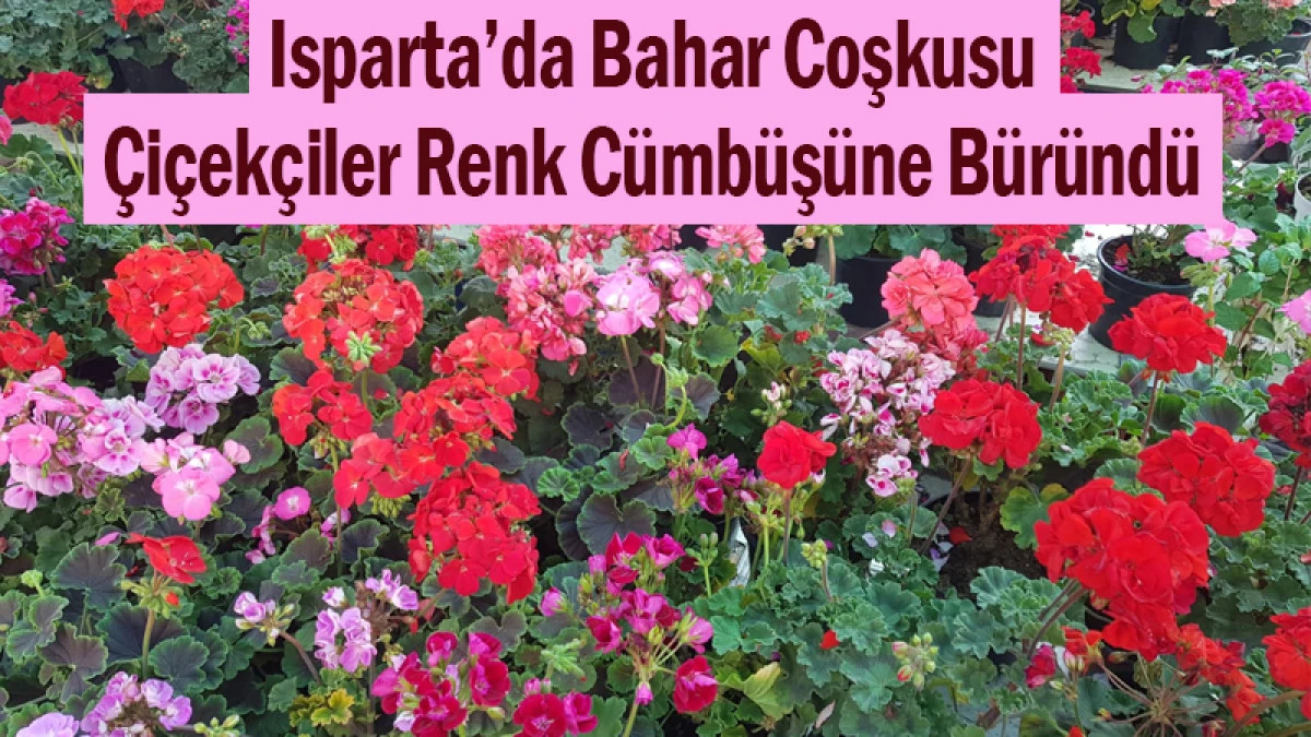 Isparta’da Bahar Coşkusu! Çiçekçiler Renk Cümbüşüne Büründü