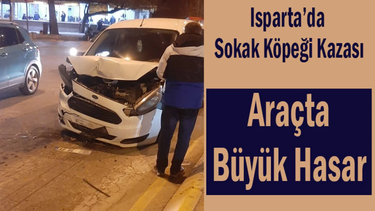 Isparta'da Sokak K&ouml;peği Bir Anda Yola Fırladı! Ara&ccedil;ta B&uuml;y&uuml;k Hasar