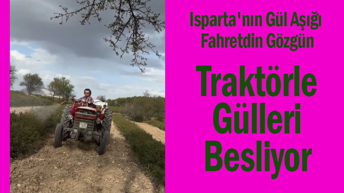 Isparta'nın Gül Aşığı Fahretdin Gözgün, Traktörle Gülleri Besliyor