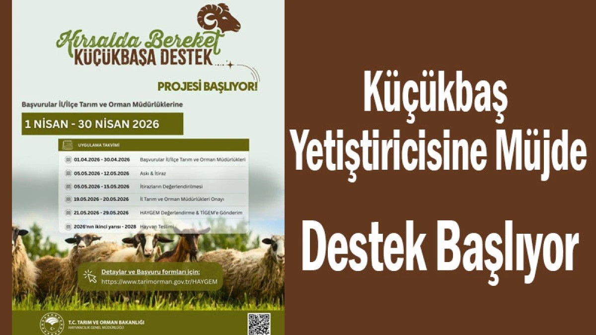 K&uuml;&ccedil;&uuml;kbaş Yetiştiricisine M&uuml;jde: Destek Başlıyor!