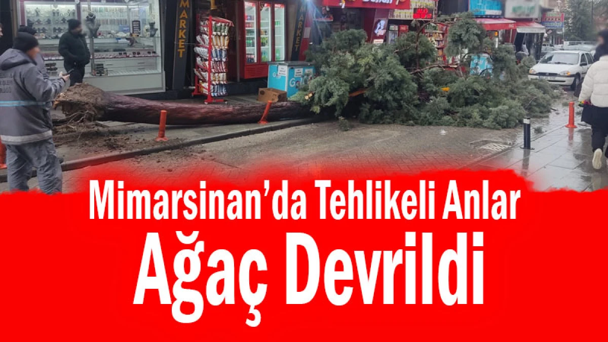 Mimarsinan&rsquo;da Tehlikeli Anlar! Ağa&ccedil; Devrildi