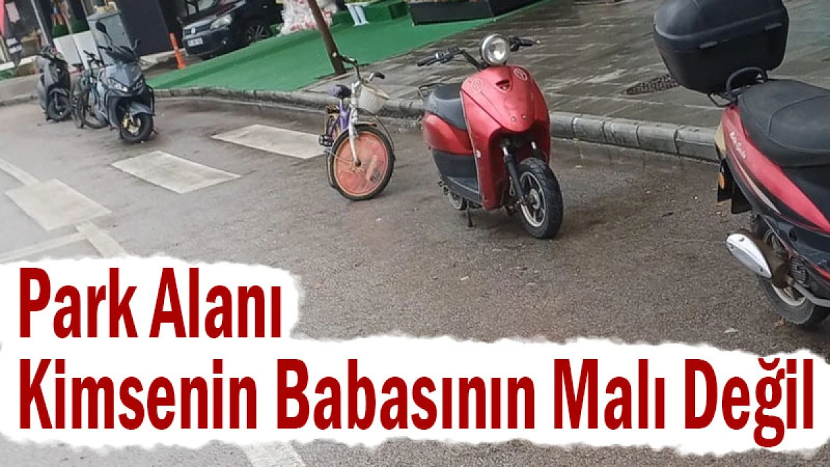 Park Alanı Kimsenin Babasının Malı Değil