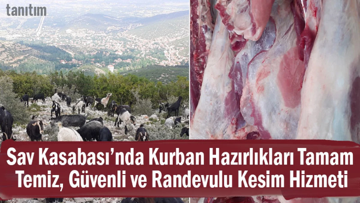 Sav Kasabası’nda Kurban Hazırlıkları Tamam! Temiz, Güvenli ve Randevulu Kesim Hizmeti