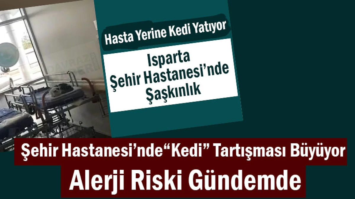 Şehir Hastanesi’nde “Kedi” Tartışması Büyüyor! Alerji Riski Gündemde