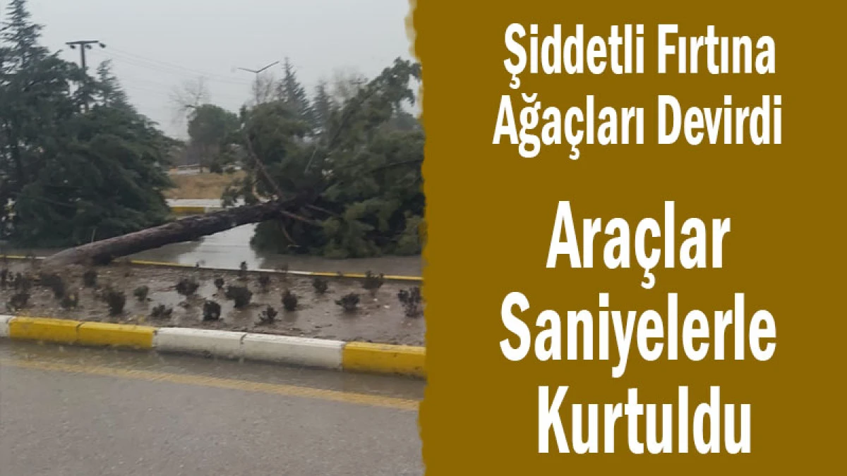 Şiddetli Fırtına Ağa&ccedil;ları Devirdi! Ara&ccedil;lar Saniyelerle Kurtuldu
