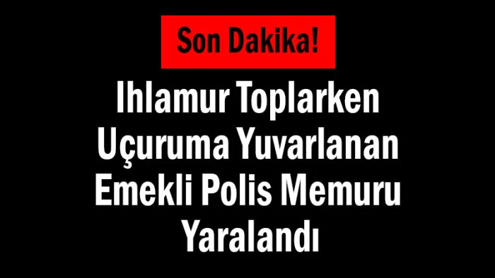 Son Dakika! Ihlamur Toplarken Uçuruma Yuvarlandı! Emekli Polis Memuru Yaralandı