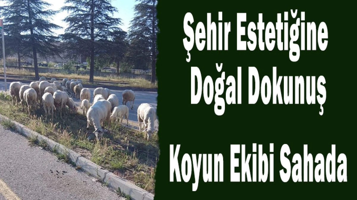 Tıp Fak&uuml;ltesi Yolu &Uuml;zerinde Dikkat &Ccedil;eken Anlar