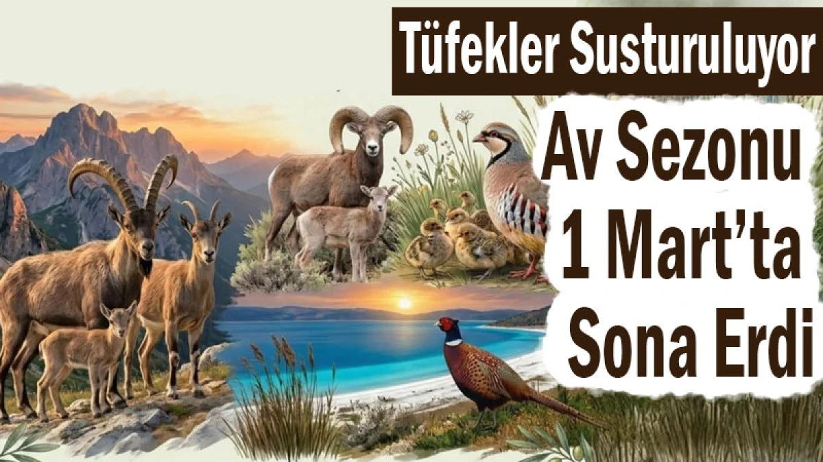 T&uuml;fekler Susturuluyor! Av Sezonu 1 Mart&rsquo;ta Sona Erdi